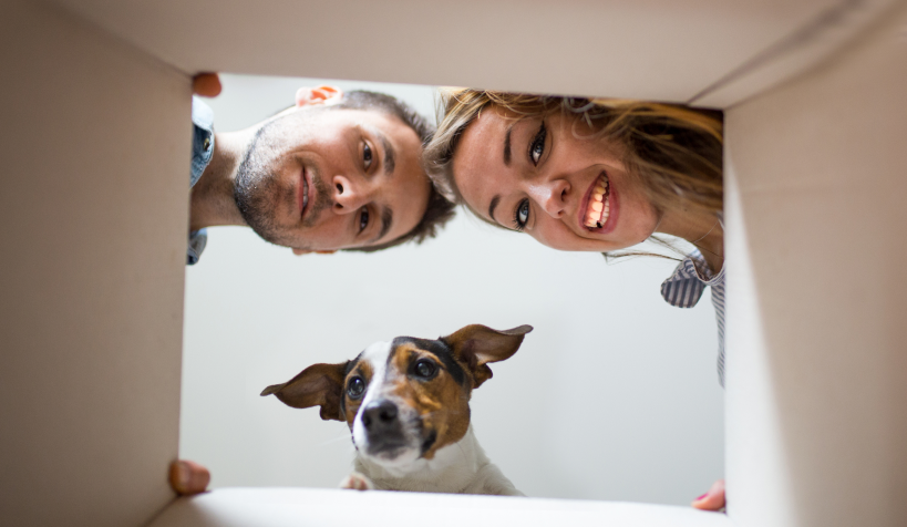 Oups ! Mais où sont passés les produits ?