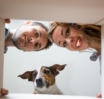 Oups ! Mais où sont passés les produits ?